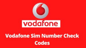 vodafone number check code
